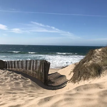 Mar & Luz, Porto, Σπίτι διακοπών Μιντέλο