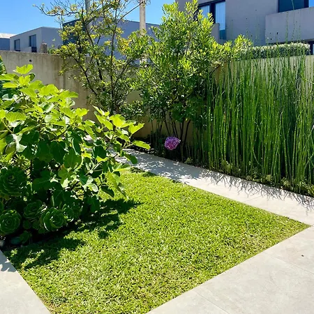 Mar & Luz, Porto, * Μιντέλο